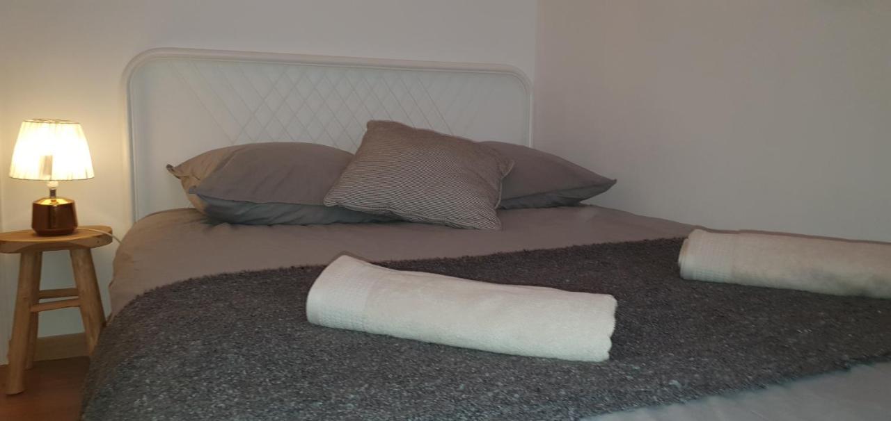 Santocha : Appartement En Plein Coeur De Ville ! Carcassonne Eksteriør bilde