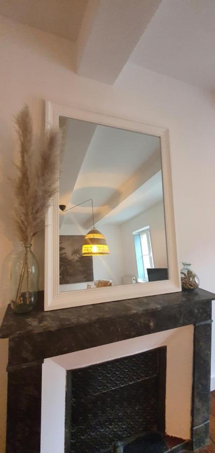 Santocha : Appartement En Plein Coeur De Ville ! Carcassonne Eksteriør bilde