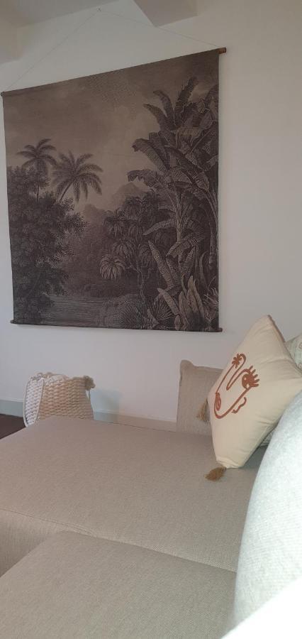 Santocha : Appartement En Plein Coeur De Ville ! Carcassonne Eksteriør bilde